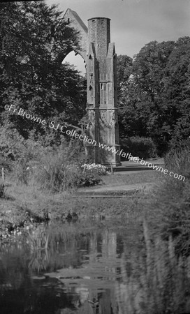 ABBEY RUINS FROM E.